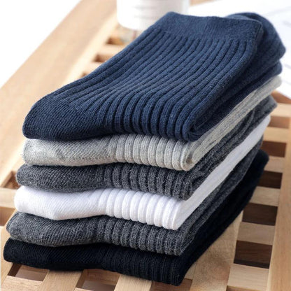 Wilshire Performance Sock - 6 Pack